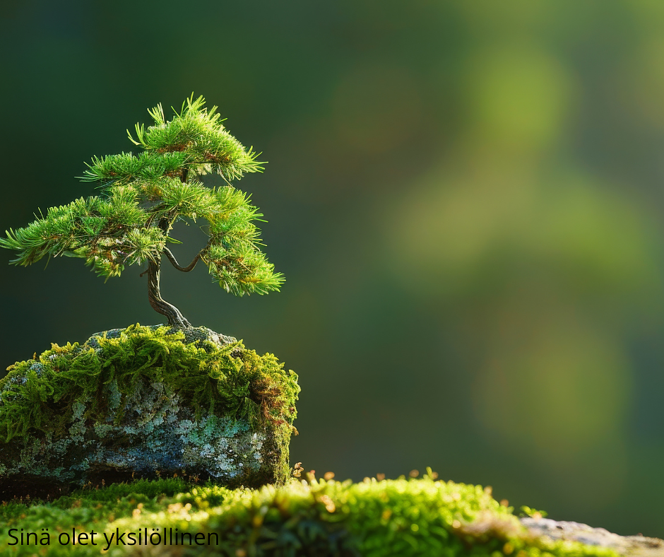 Yksilöllinen kokonaiskuvaprosessi by Akupunktio Lähde